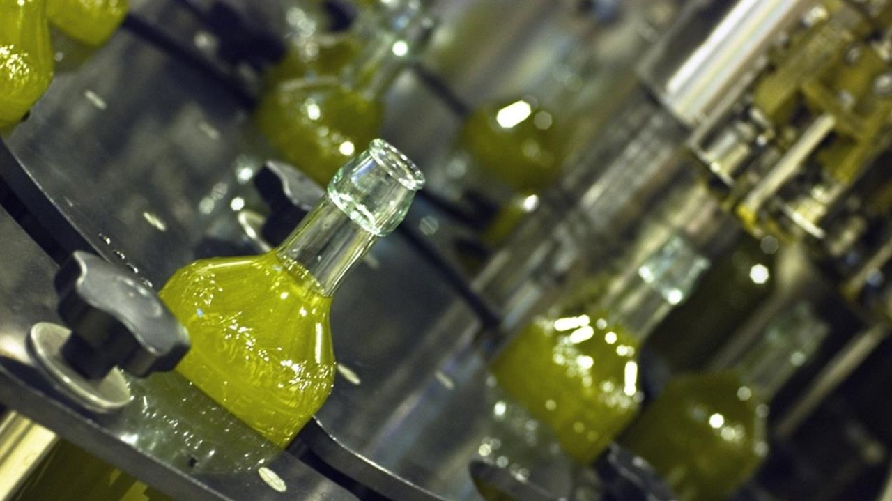 Почему горчит оливковое. Завод оливкового масла. Производство оливкового масла. Производство оливок. Заводы по производству оливкового масла.